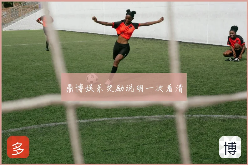 鼎博娱乐奖励说明一次看清