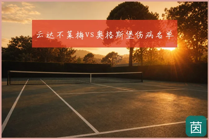 云达不莱梅vs奥格斯堡伤病名单